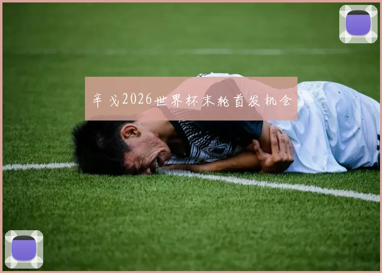 辛戈2026世界杯末轮首发机会
