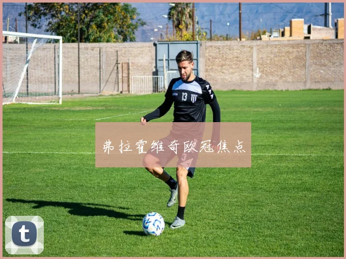 弗拉霍维奇欧冠焦点