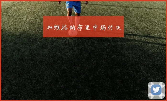 加维格纳布里中场对决