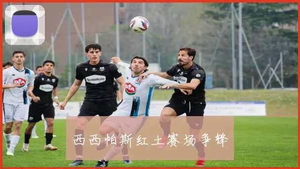 西西帕斯红土赛场争锋