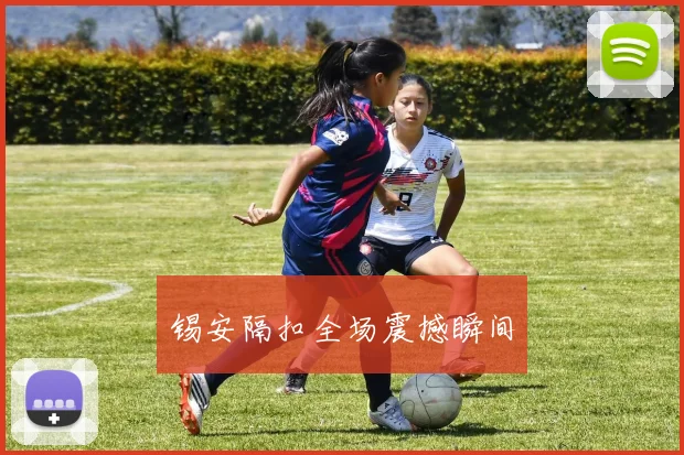 锡安隔扣全场震撼瞬间