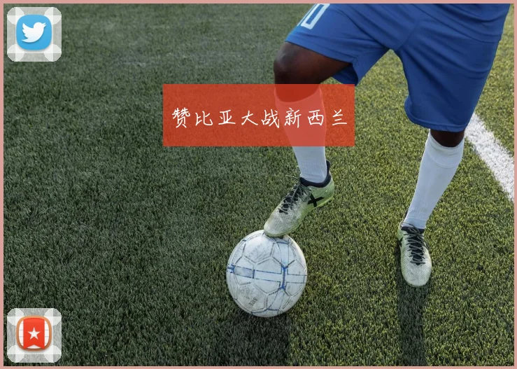 赞比亚大战新西兰