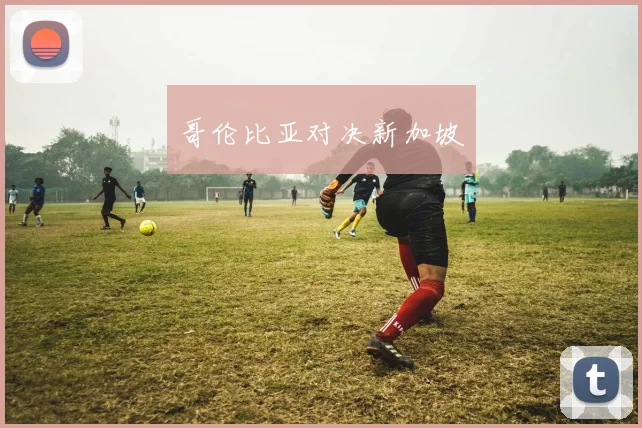 哥伦比亚对决新加坡