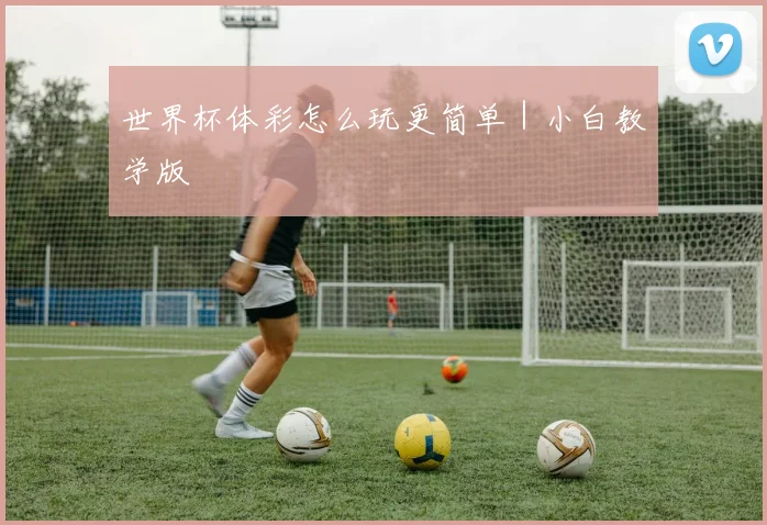 世界杯体彩怎么玩更简单｜小白教学版