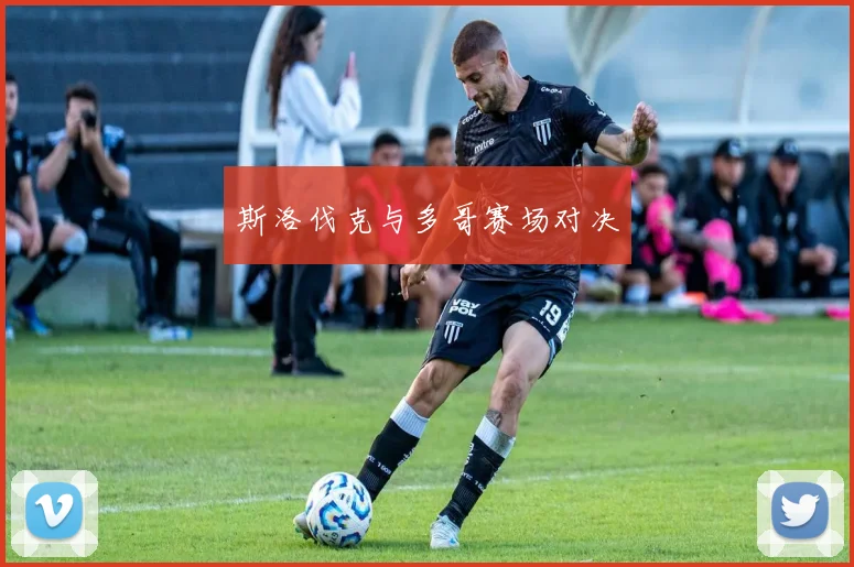 斯洛伐克与多哥赛场对决