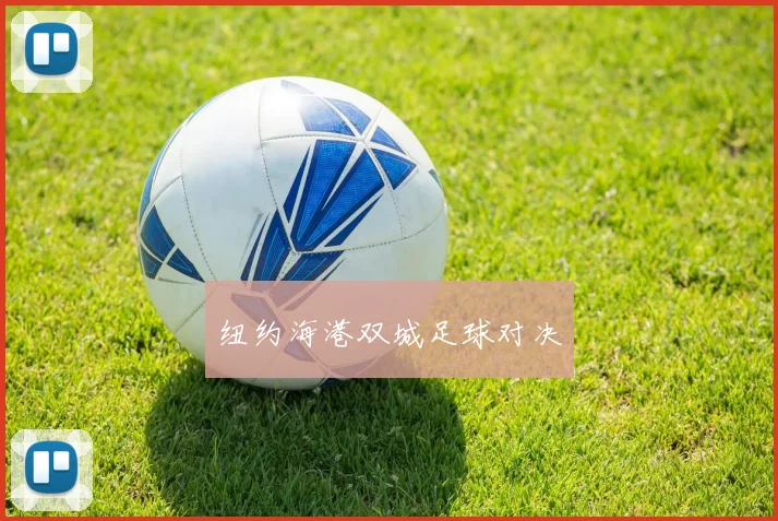 纽约海港双城足球对决