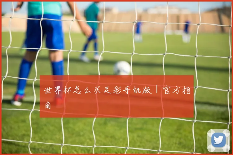 世界杯怎么买足彩手机版|官方指南