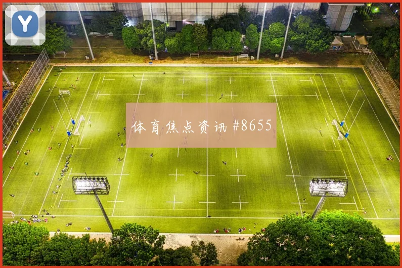 伊纳基威廉姆斯对阵克罗地亚队小组赛中路串联走势研判