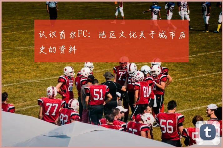认识首尔FC：地区文化关于城市历史的资料