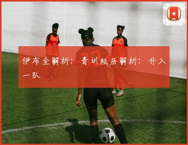 伊布全解析：青训经历解析：升入一队