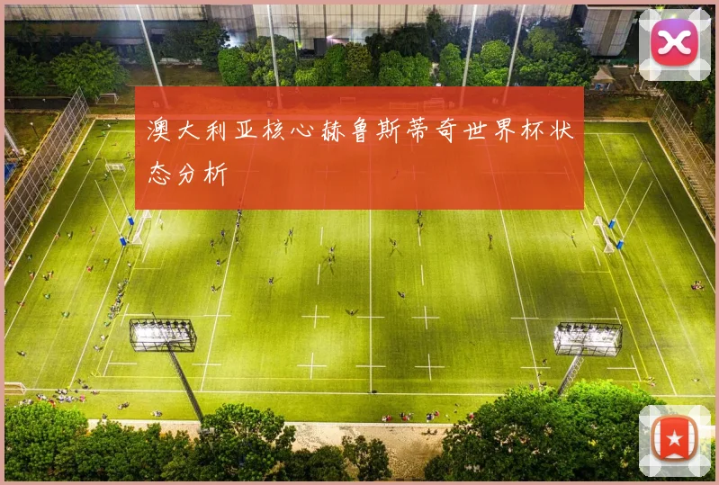 澳大利亚核心赫鲁斯蒂奇世界杯状态分析
