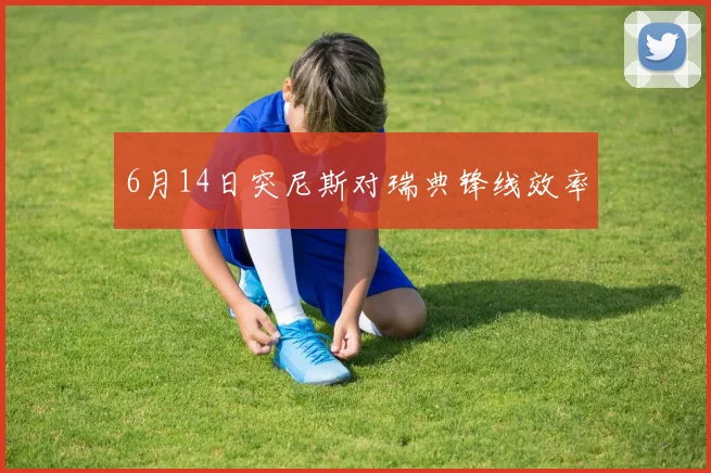 6月14日突尼斯对瑞典锋线效率