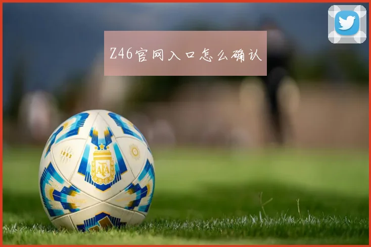 Z46官网入口怎么确认