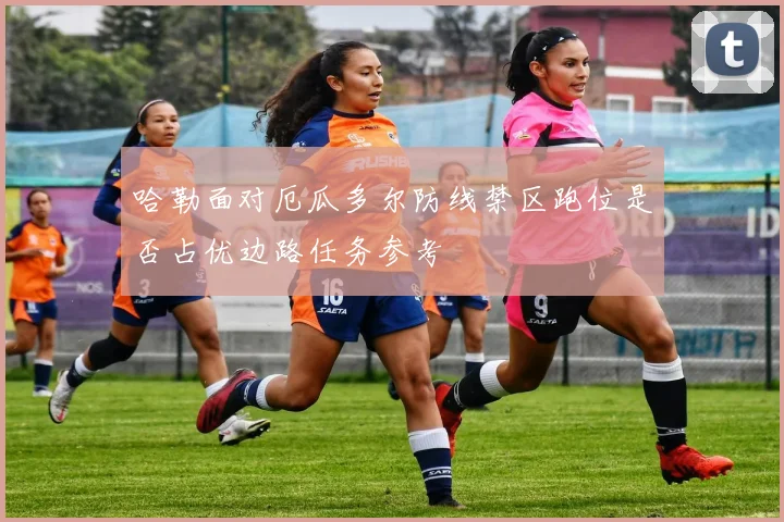 哈勒面对厄瓜多尔防线禁区跑位是否占优边路任务参考