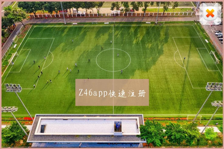 Z46app快速注册